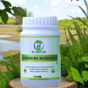 Kabasura Kudineer